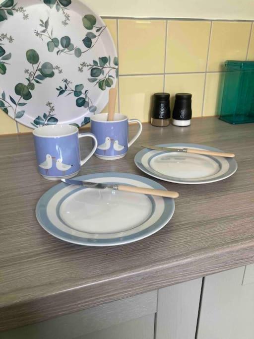Spacious Semi-Detached Southsea House, Free Parking On Drive Portsmouth Eksteriør billede